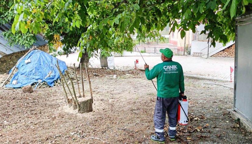 Canik'te Kokarca İlaçlaması