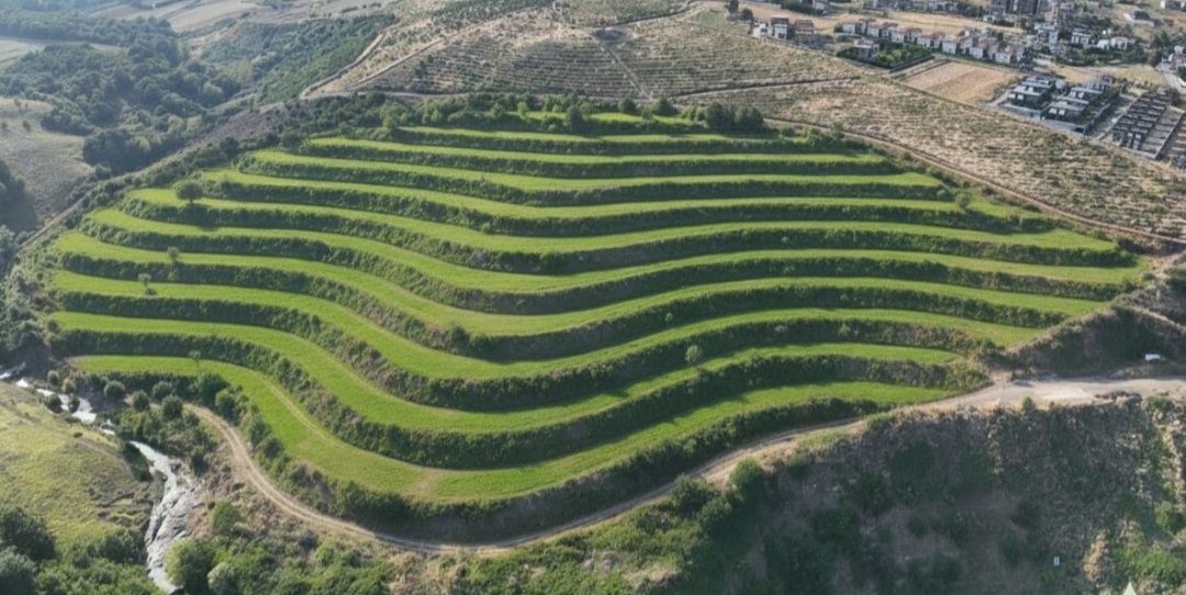 Harfiyatta Dijital Dönüşüm