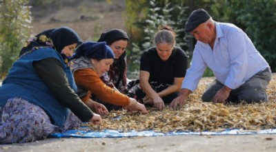 Ladik Fasülyesi İhtiyaç Sahipleriyle Buluştu