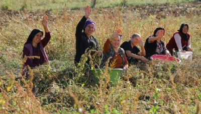 Tarıma Büyük Destek